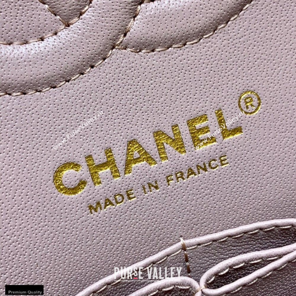 Chanel Original Quality Classic Flap Bag A01113 in Caviar Leather Light Pink with Gold Hardware (shunyang-20120922)