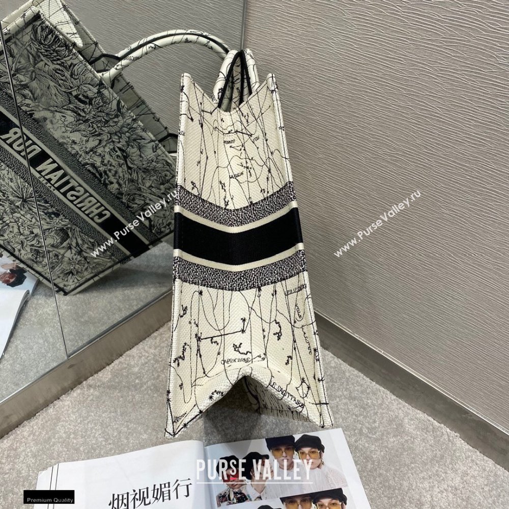 Dior Book Tote Bag in Multicolor Zodiac Embroidery 2020 (vivi-20121508)