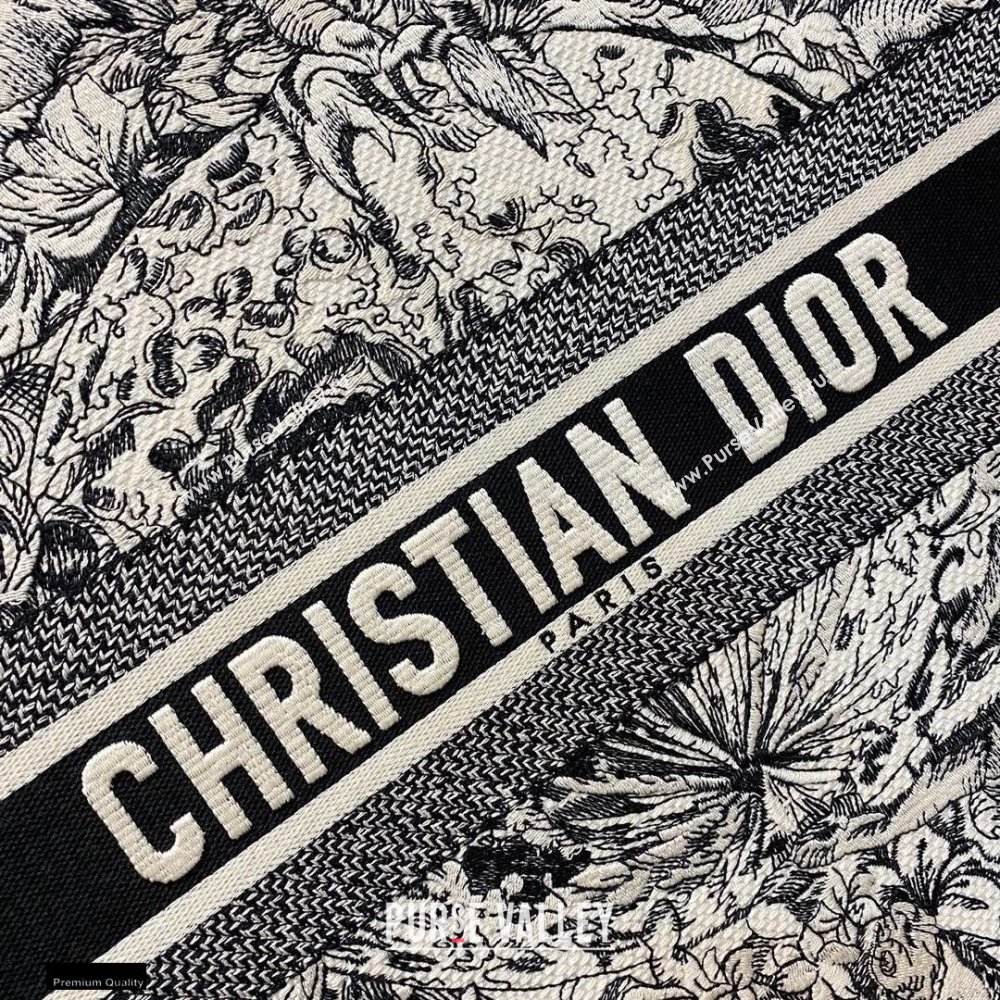 Dior Book Tote Bag in Multicolor Zodiac Embroidery 2020 (vivi-20121508)