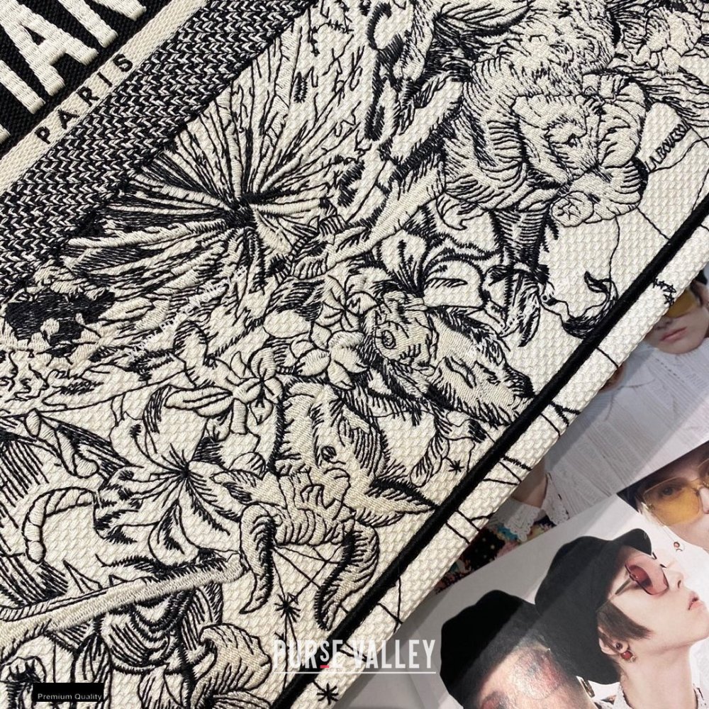 Dior Book Tote Bag in Multicolor Zodiac Embroidery 2020 (vivi-20121508)