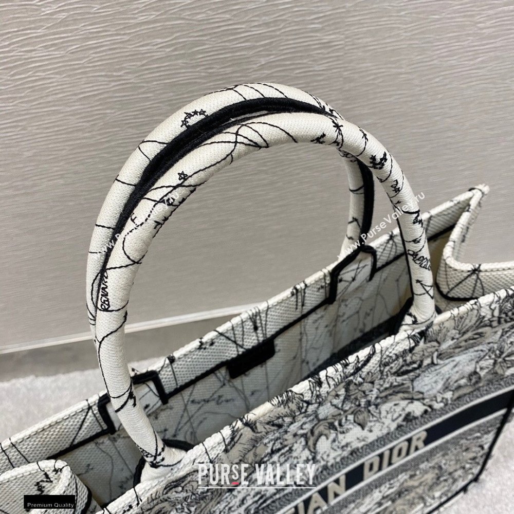 Dior Book Tote Bag in Multicolor Zodiac Embroidery 2020 (vivi-20121508)