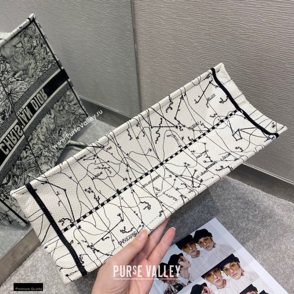 Dior Book Tote Bag in Multicolor Zodiac Embroidery 2020 (vivi-20121508)