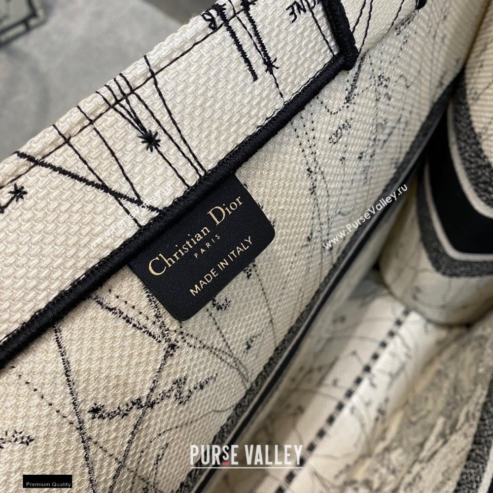 Dior Book Tote Bag in Multicolor Zodiac Embroidery 2020 (vivi-20121508)