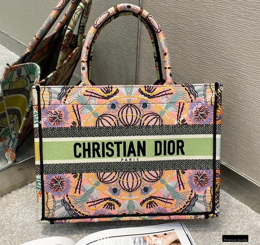 Dior Small Book Tote Bag in Multicolor Lights Embroidery 2021 (vivi-21010710)