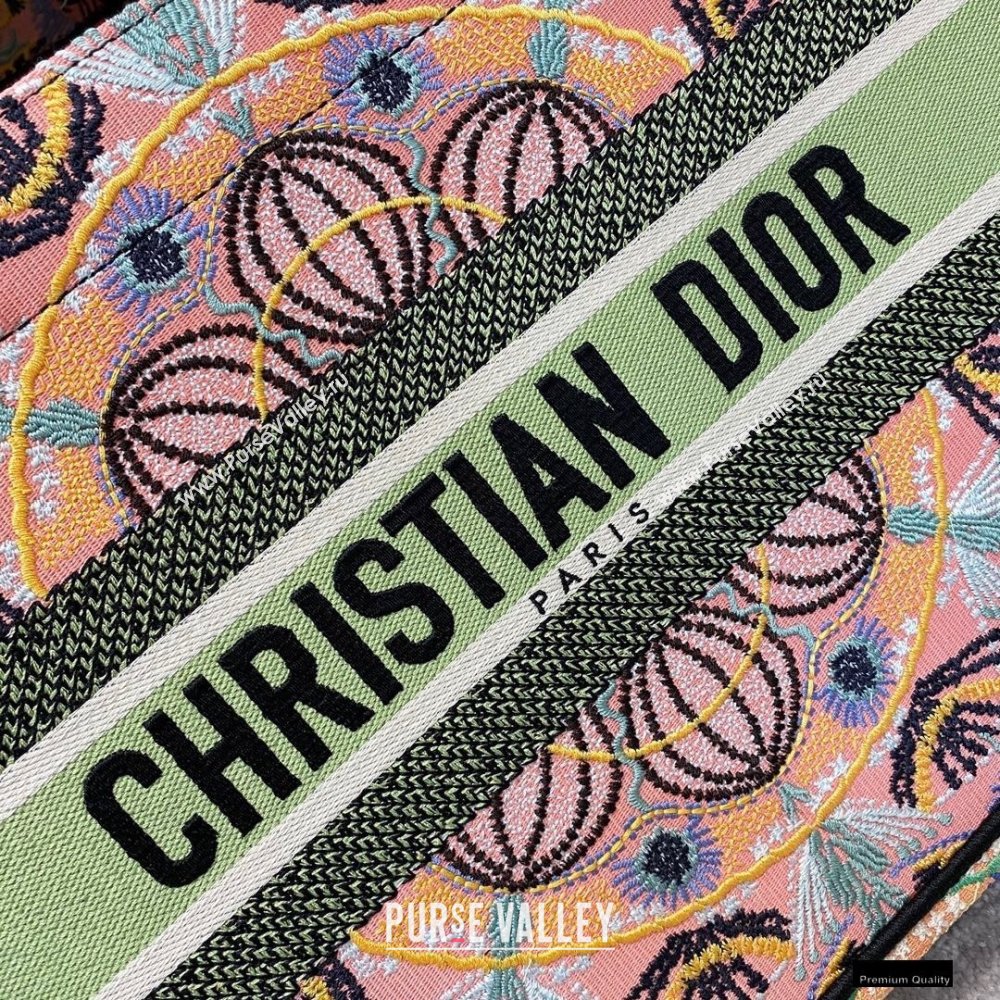 Dior Small Book Tote Bag in Multicolor Lights Embroidery 2021 (vivi-21010710)