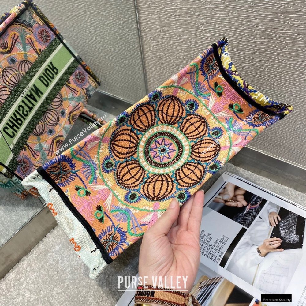 Dior Small Book Tote Bag in Multicolor Lights Embroidery 2021 (vivi-21010710)