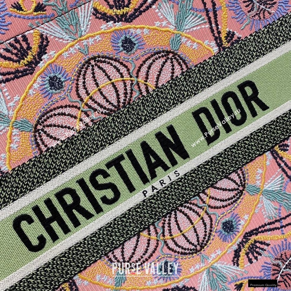 Dior Book Tote Bag in Multicolor Lights Embroidery 2021 (vivi-21010709)