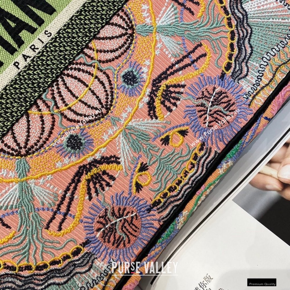 Dior Book Tote Bag in Multicolor Lights Embroidery 2021 (vivi-21010709)