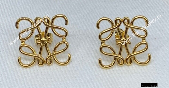 Loewe Earrings 03 2021 (YF-210114l22)