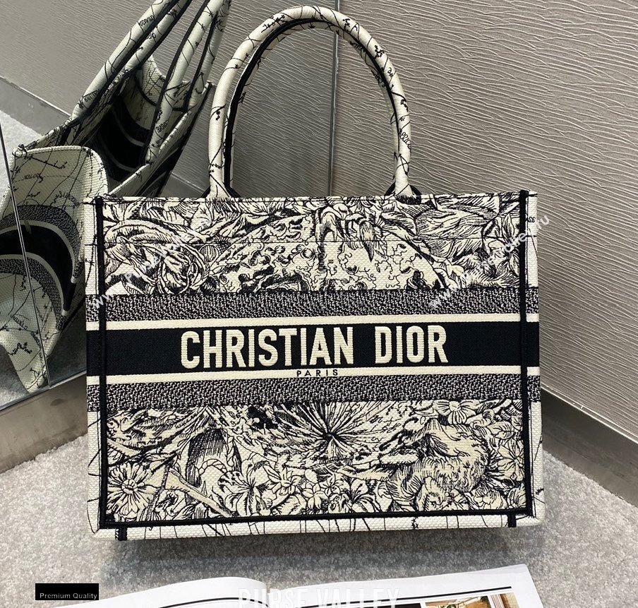 Dior Small Book Tote Bag in Multicolor Zodiac Embroidery 2021 (vivi-2112301)