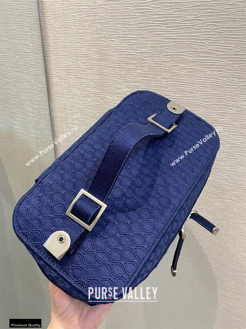 Dior DiorTravel Vanity Case Bag In Blue Mesh Embroidery 2021 (vivi-21022009)