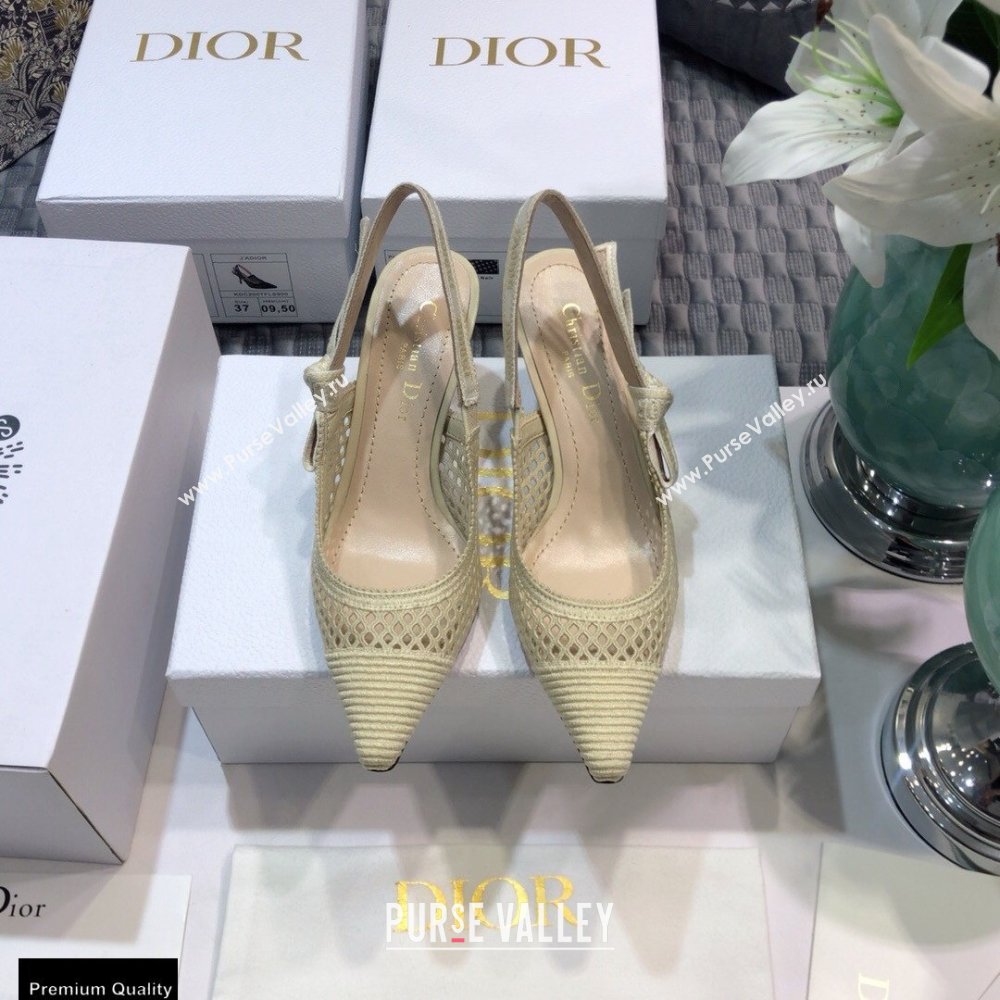 Dior Heel 6.5cm JAdior Slingback Pumps Mesh Embroidery Creamy 2021 (jincheng-21022562)