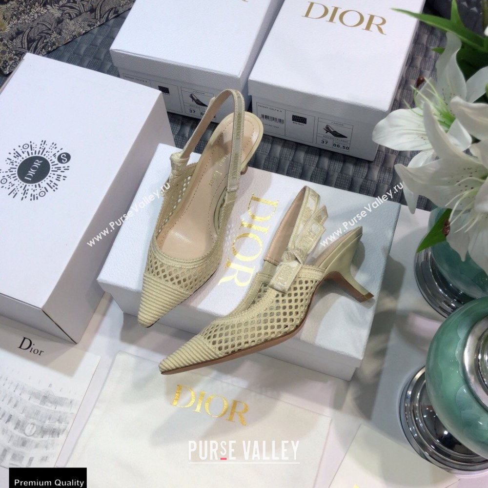 Dior Heel 6.5cm JAdior Slingback Pumps Mesh Embroidery Creamy 2021 (jincheng-21022562)
