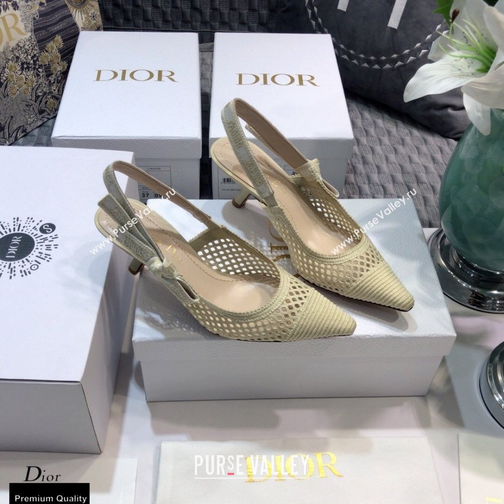 Dior Heel 6.5cm JAdior Slingback Pumps Mesh Embroidery Creamy 2021 (jincheng-21022562)