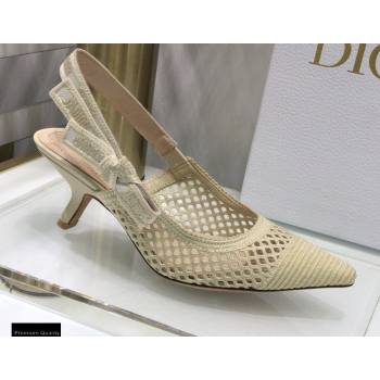 Dior Heel 6.5cm JAdior Slingback Pumps Mesh Embroidery Creamy 2021 (jincheng-21022562)