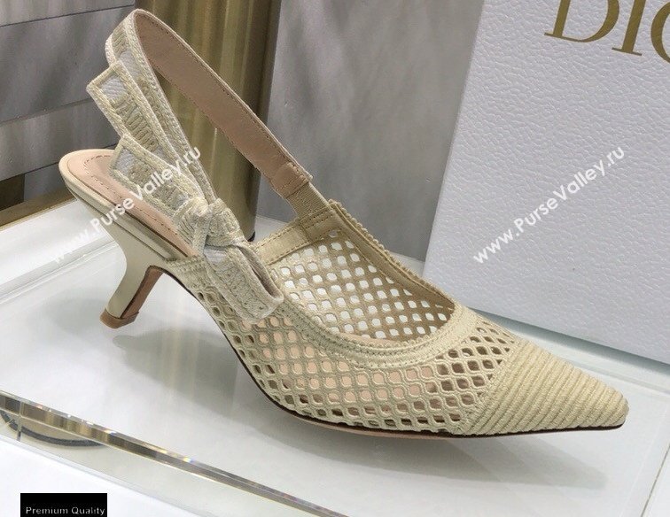 Dior Heel 6.5cm JAdior Slingback Pumps Mesh Embroidery Creamy 2021 (jincheng-21022562)