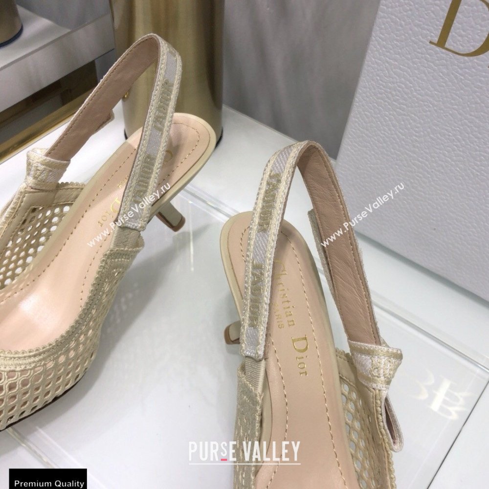 Dior Heel 6.5cm JAdior Slingback Pumps Mesh Embroidery Creamy 2021 (jincheng-21022562)