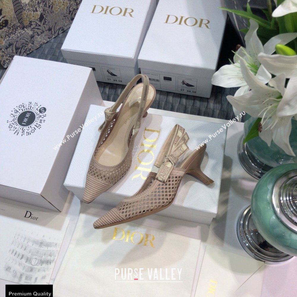 Dior Heel 6.5cm JAdior Slingback Pumps Mesh Embroidery Nude 2021 (jincheng-21022565)