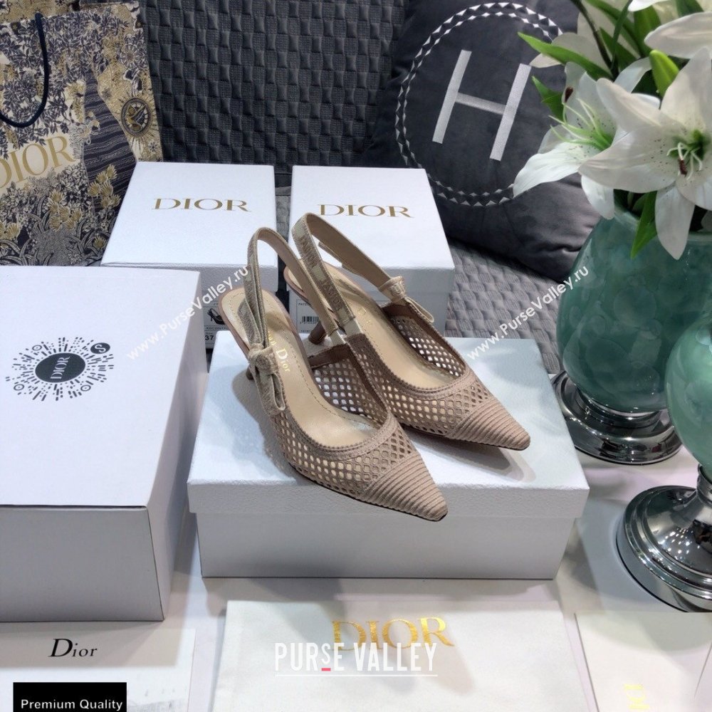 Dior Heel 6.5cm JAdior Slingback Pumps Mesh Embroidery Nude 2021 (jincheng-21022565)