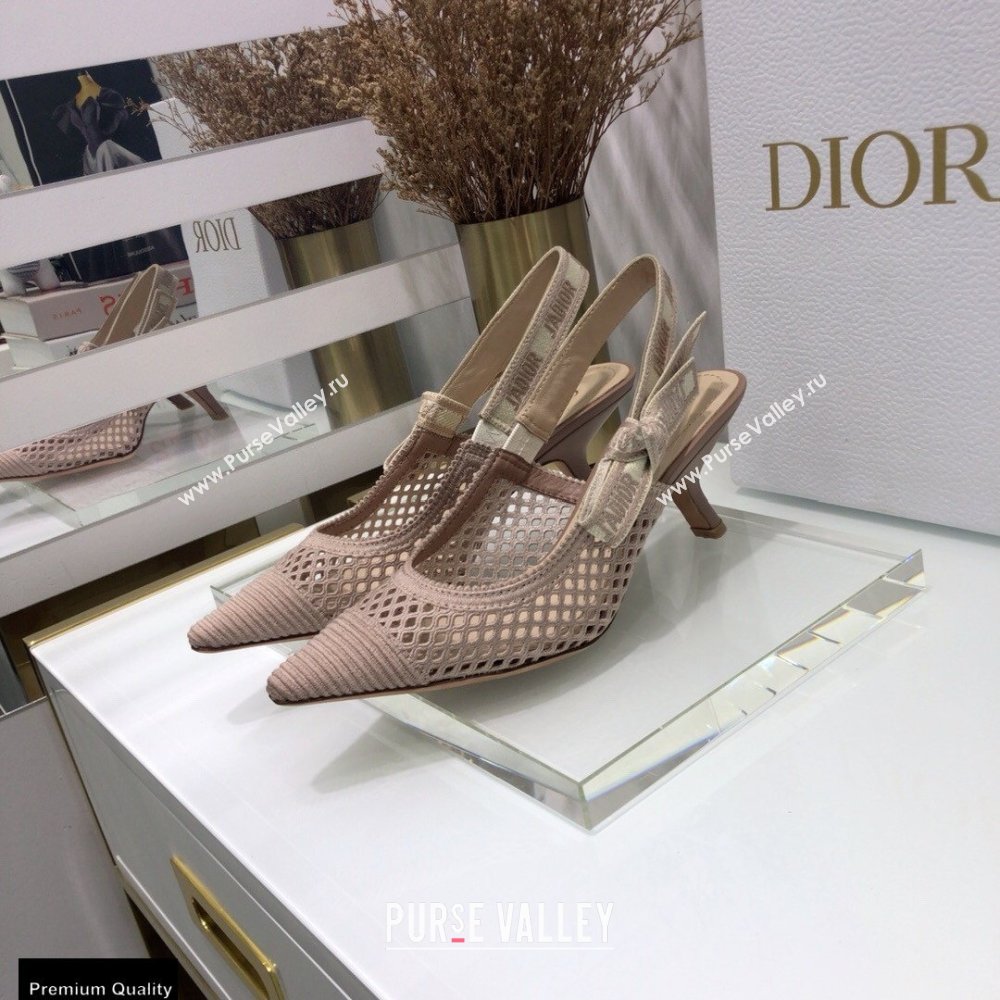 Dior Heel 6.5cm JAdior Slingback Pumps Mesh Embroidery Nude 2021 (jincheng-21022565)