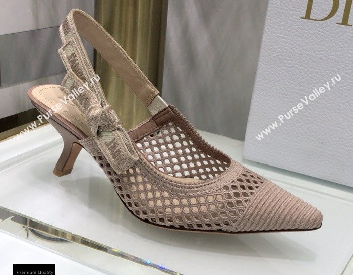 Dior Heel 6.5cm JAdior Slingback Pumps Mesh Embroidery Nude 2021 (jincheng-21022565)