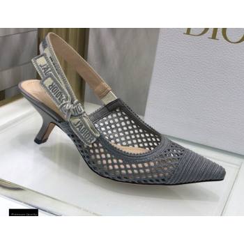 Dior Heel 6.5cm JAdior Slingback Pumps Mesh Embroidery Gray 2021 (jincheng-21022568)