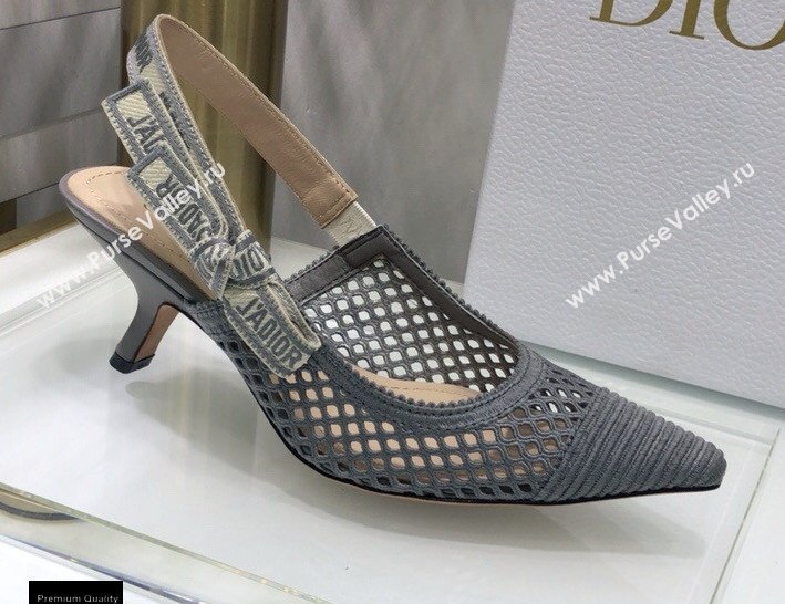 Dior Heel 6.5cm JAdior Slingback Pumps Mesh Embroidery Gray 2021 (jincheng-21022568)