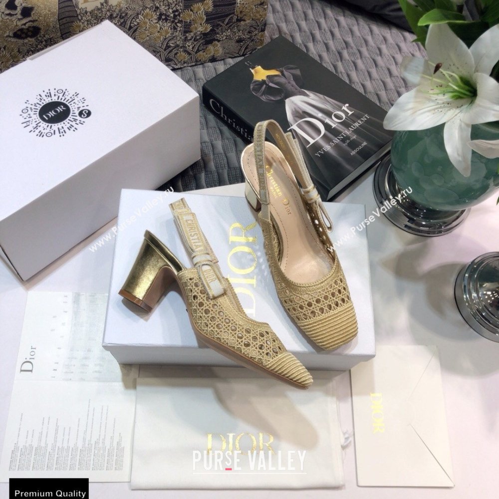 Dior Heel 7cm Moi Slingback Pumps Cannage Embroidered Mesh Beige 2021 (jincheng-21022552)