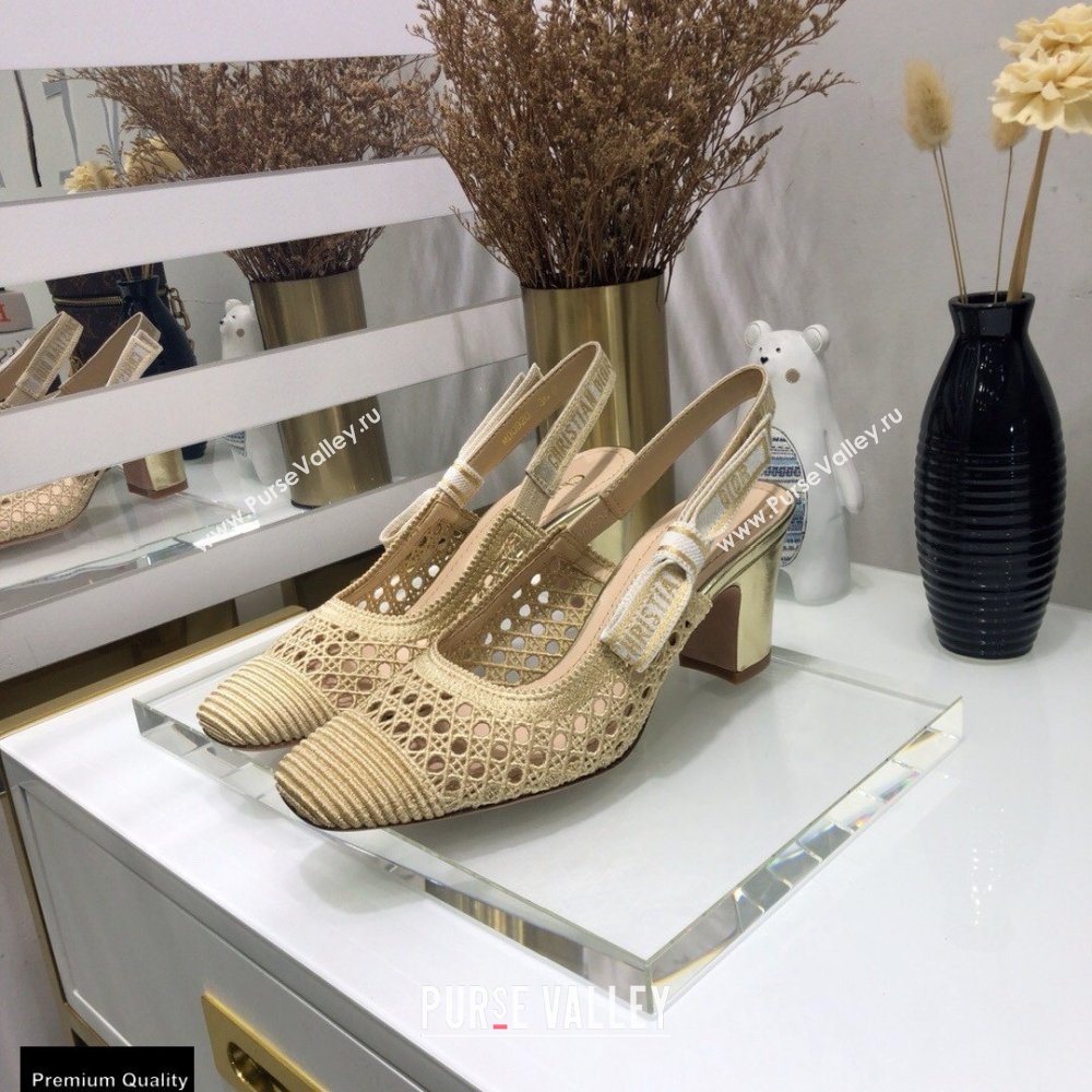 Dior Heel 7cm Moi Slingback Pumps Cannage Embroidered Mesh Beige 2021 (jincheng-21022552)