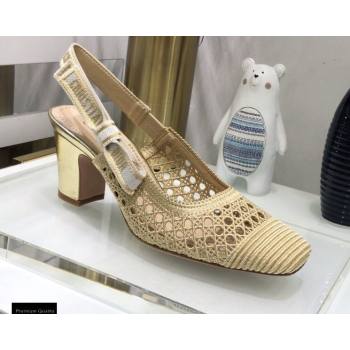 Dior Heel 7cm Moi Slingback Pumps Cannage Embroidered Mesh Beige 2021 (jincheng-21022552)