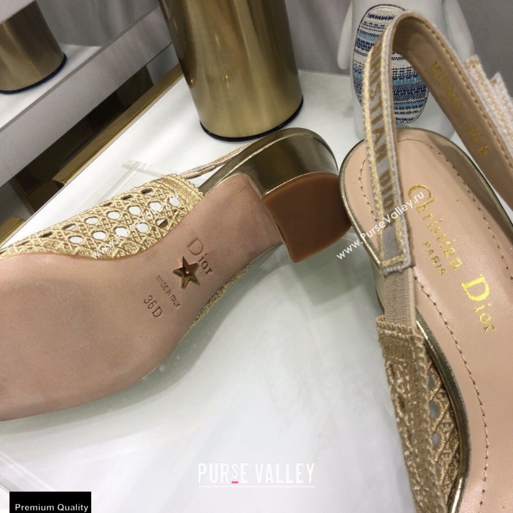 Dior Heel 7cm Moi Slingback Pumps Cannage Embroidered Mesh Beige 2021 (jincheng-21022552)