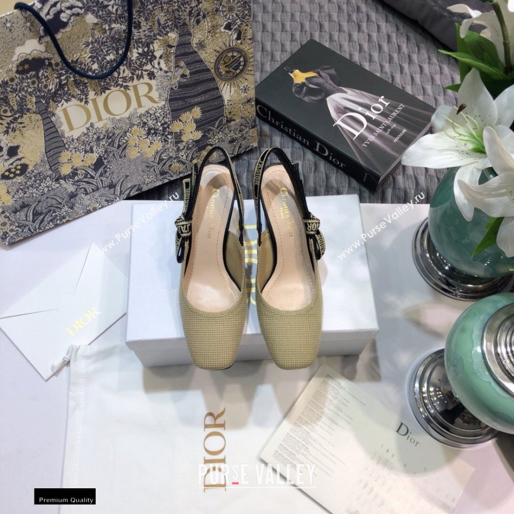 Dior Heel 7cm Moi JAdior Embroidered Slingback Pumps Beige 2021 (jincheng-21022530)