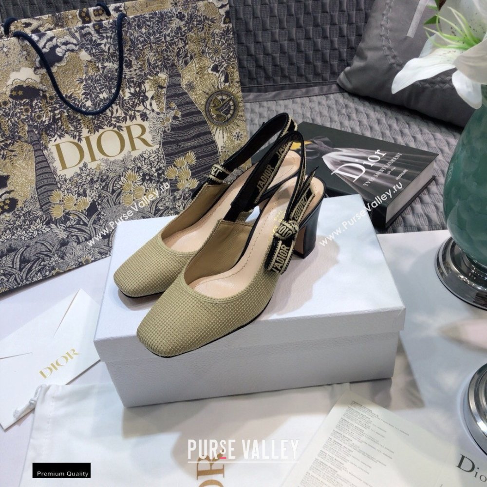 Dior Heel 7cm Moi JAdior Embroidered Slingback Pumps Beige 2021 (jincheng-21022530)