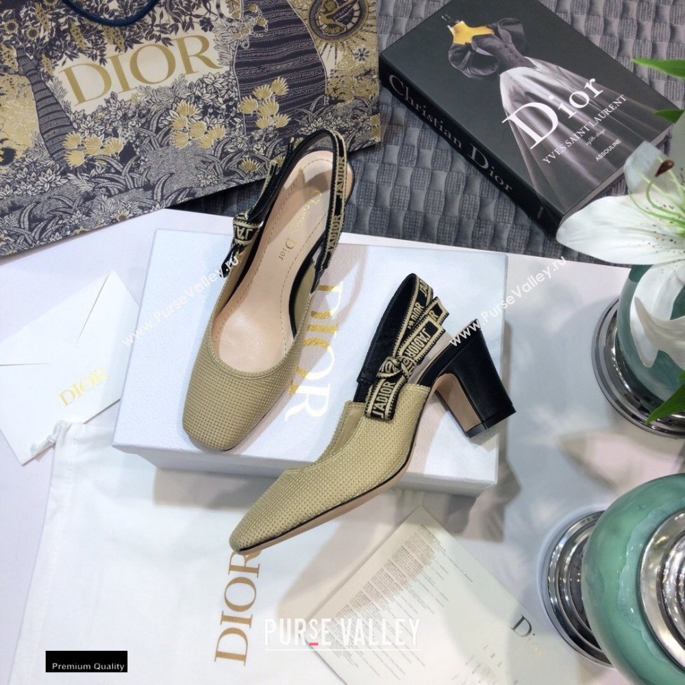 Dior Heel 7cm Moi JAdior Embroidered Slingback Pumps Beige 2021 (jincheng-21022530)