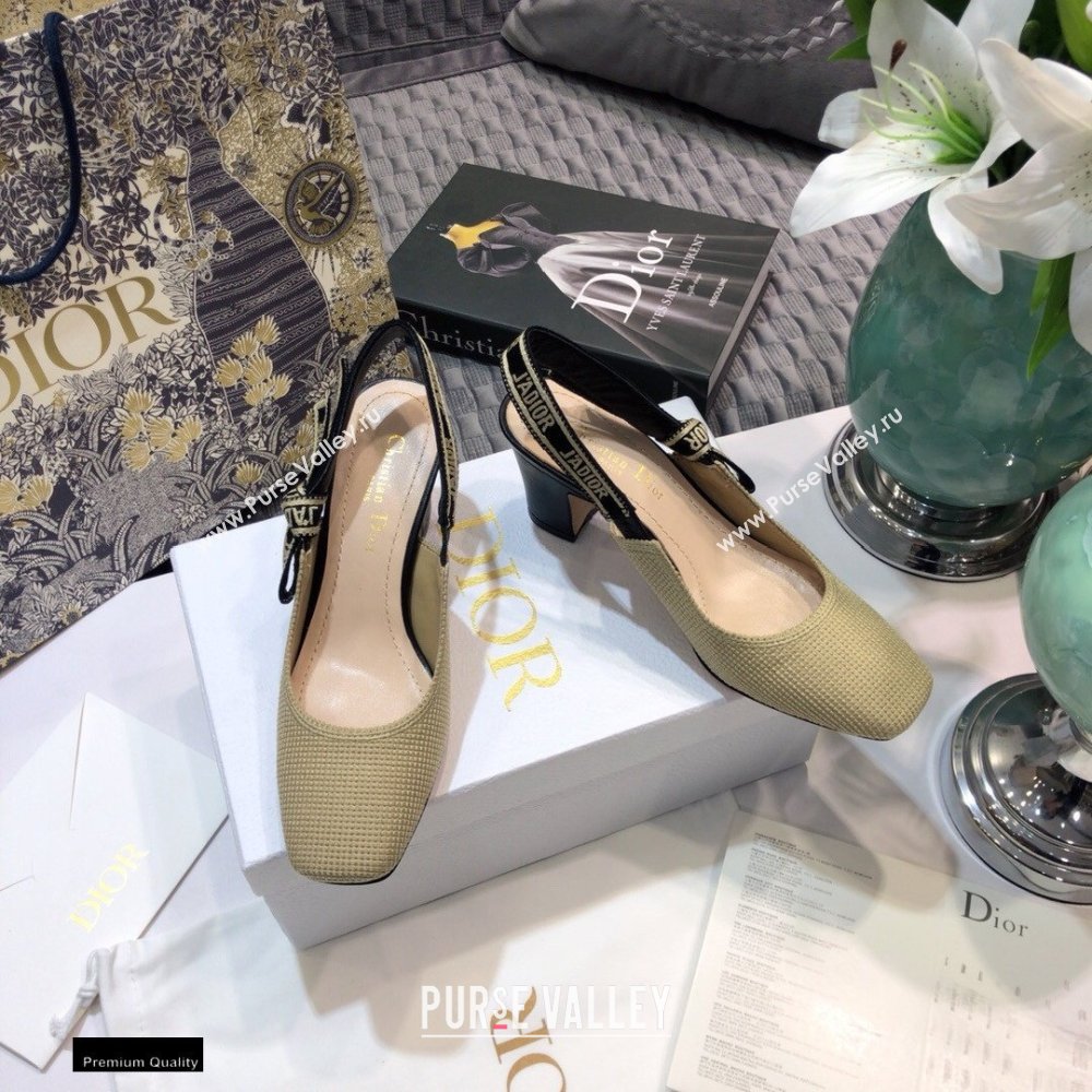 Dior Heel 7cm Moi JAdior Embroidered Slingback Pumps Beige 2021 (jincheng-21022530)