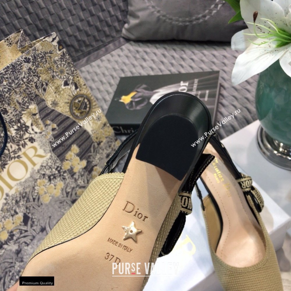 Dior Heel 7cm Moi JAdior Embroidered Slingback Pumps Beige 2021 (jincheng-21022530)