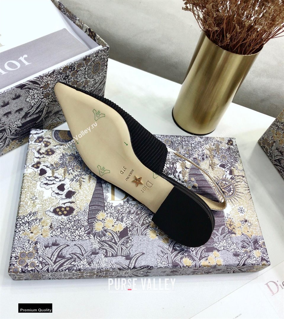 Dior JAdior Embroidered Slingback Ballerina Flats Black 2021 (jincheng-21022529)