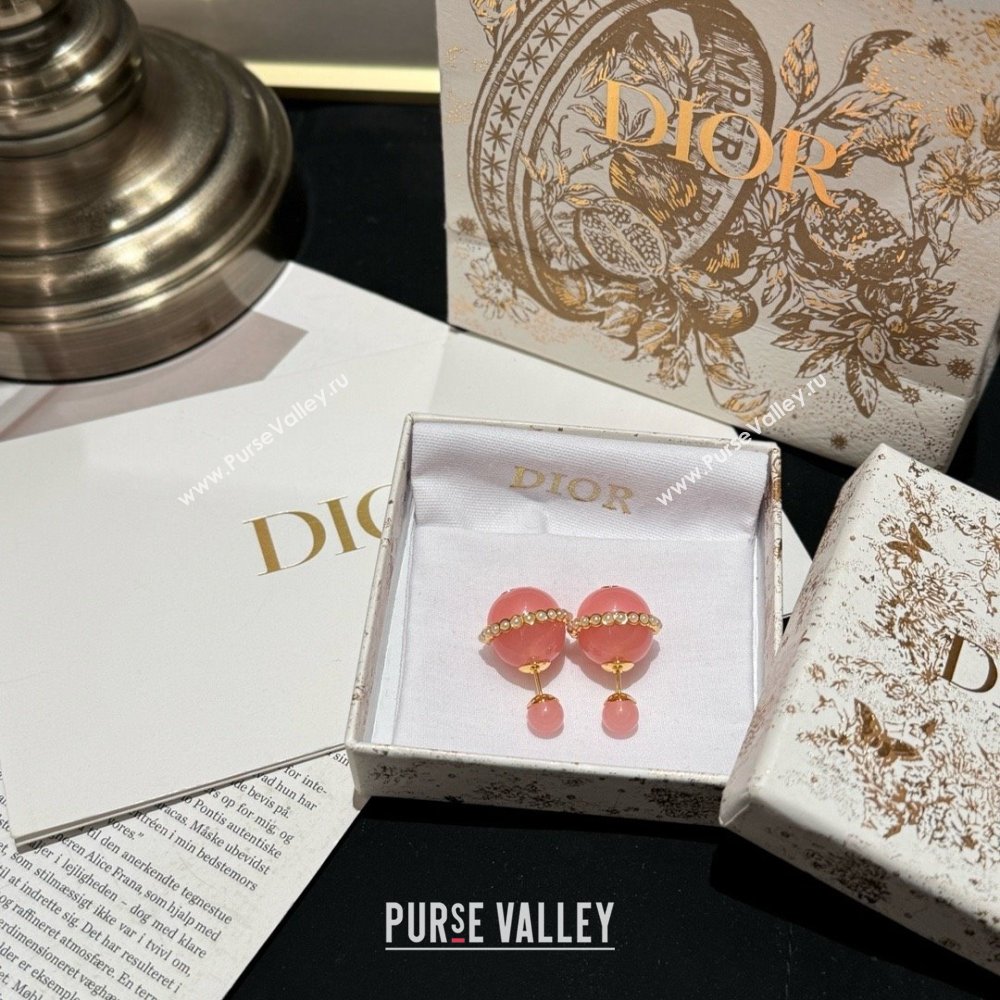 Dior Tribales Earrings pink 2024 (youfang-240413-13)