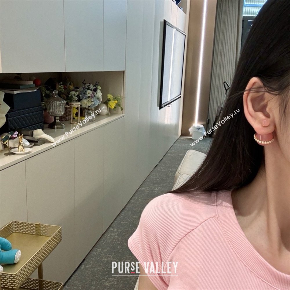 Dior Tribales Earrings pink 2024 (youfang-240413-13)