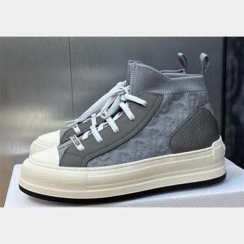 DIOR WalknDior Platform High Top Sneakers in Macrocannage Technical Mesh Gray 2023 (jincheng-23092507)