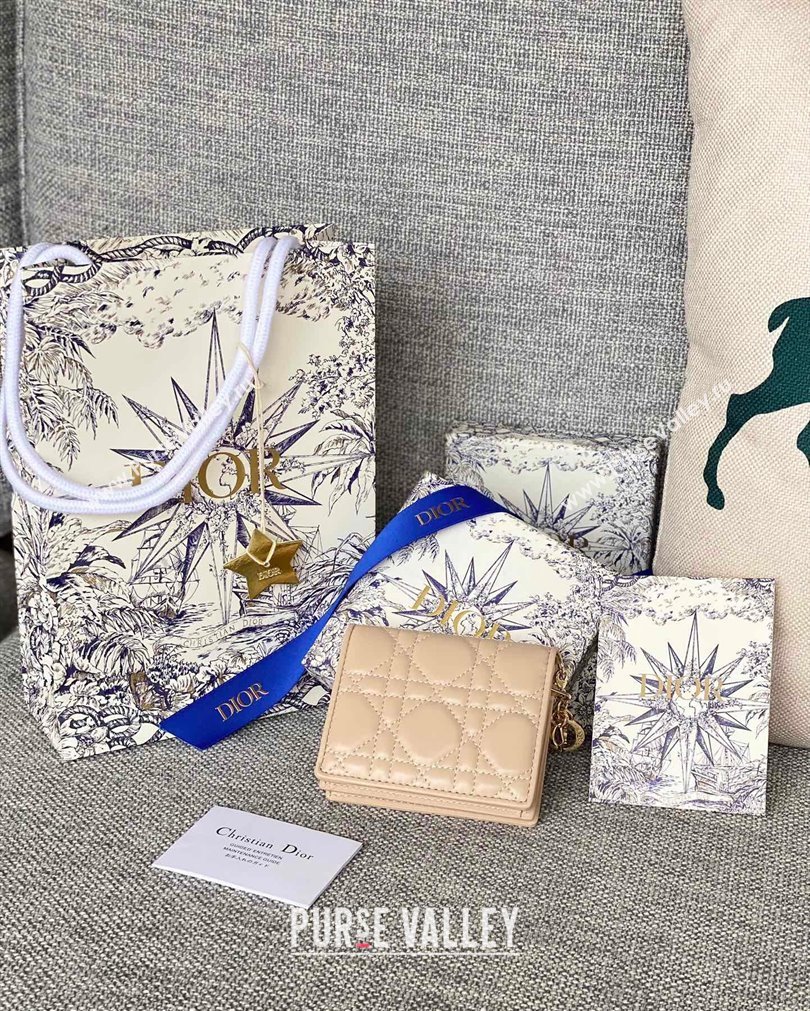 Lady Dior Mini Wallet in Cannage Lambskin Beige (XXG-23092803)