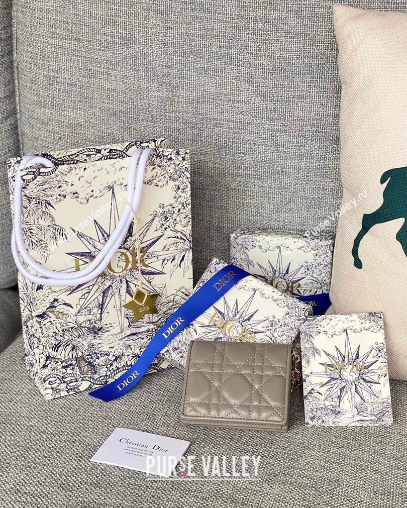 Lady Dior Mini Wallet in Cannage Lambskin Light Gray (XXG-23092801)