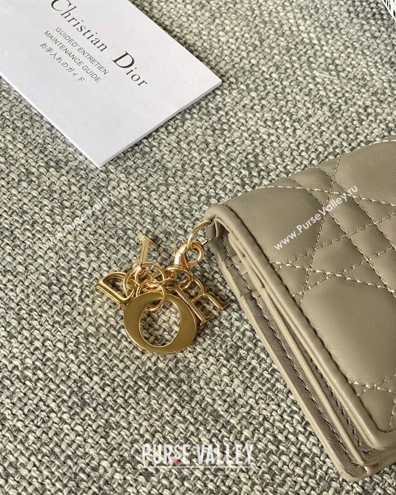 Lady Dior Mini Wallet in Cannage Lambskin Light Gray (XXG-23092801)