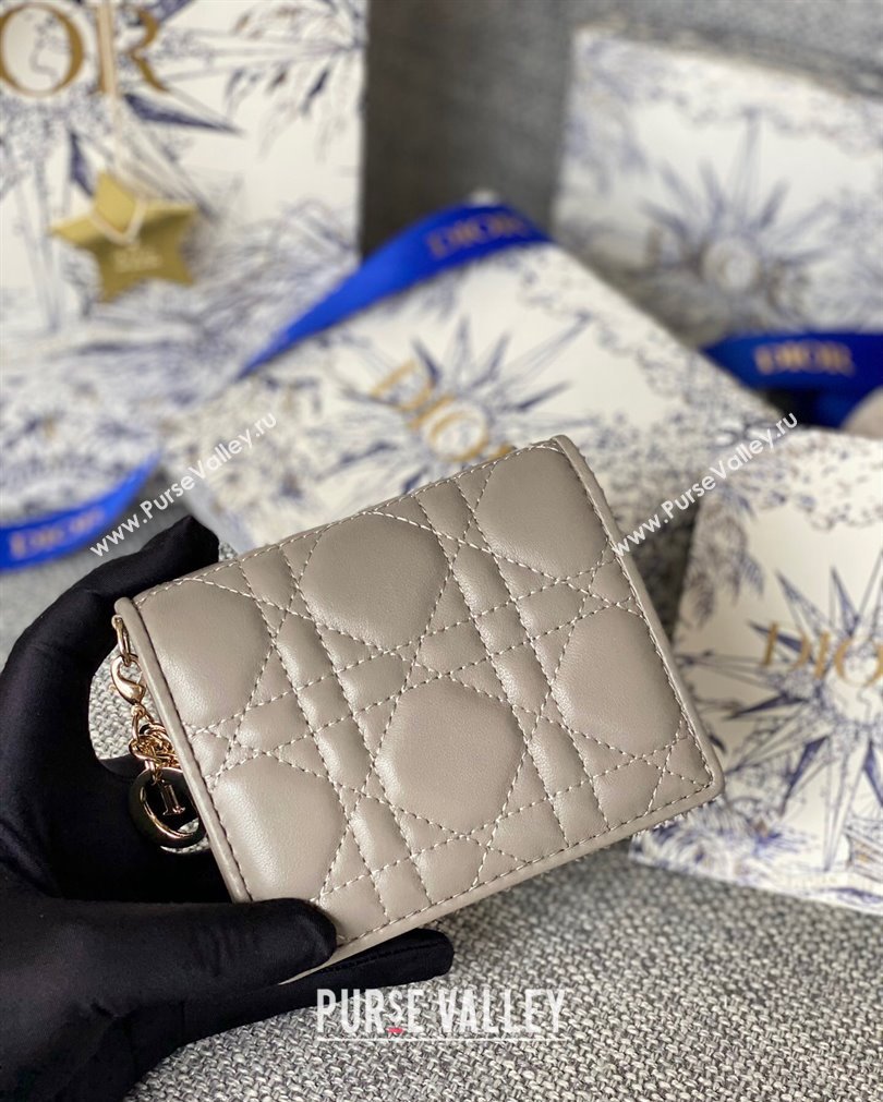 Lady Dior Mini Wallet in Cannage Lambskin Light Gray (XXG-23092801)
