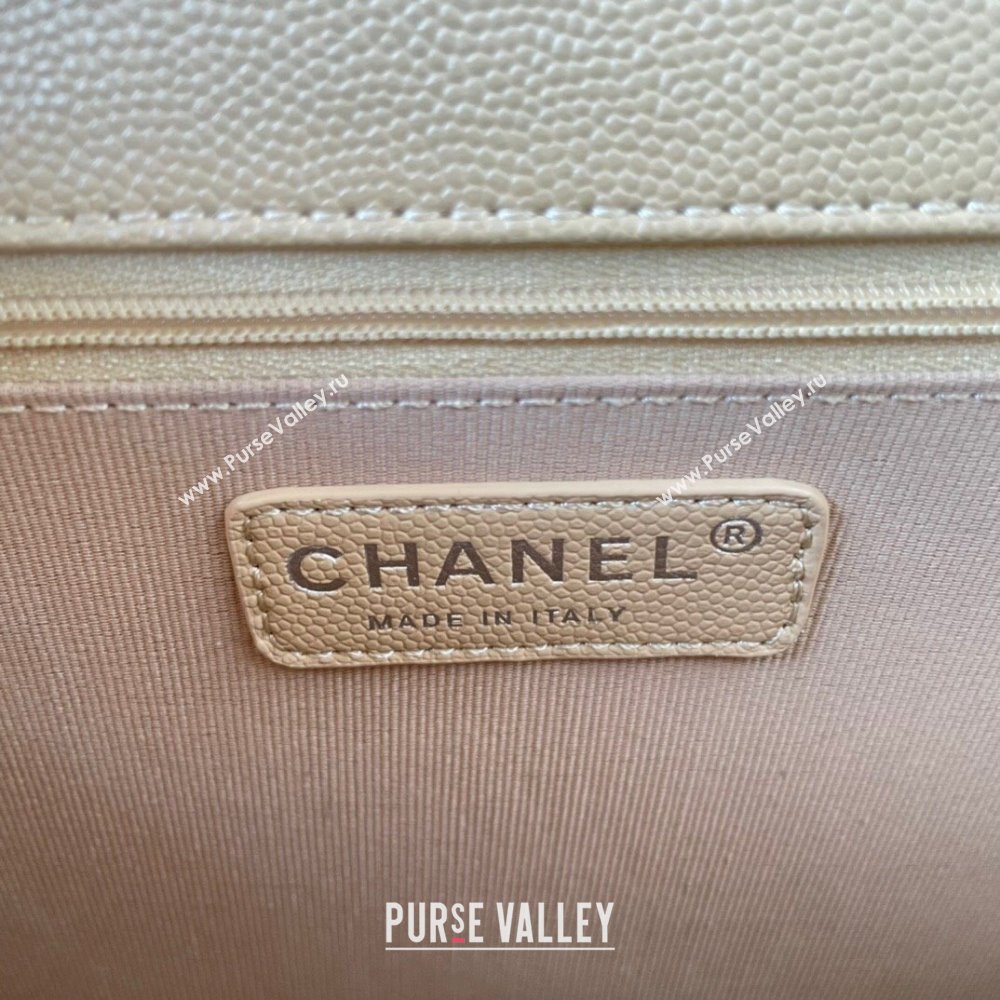 Chanel Shiny Grained Calfskin Flap Bag AS4405 Beige 2023 (jiyuan-23100719)