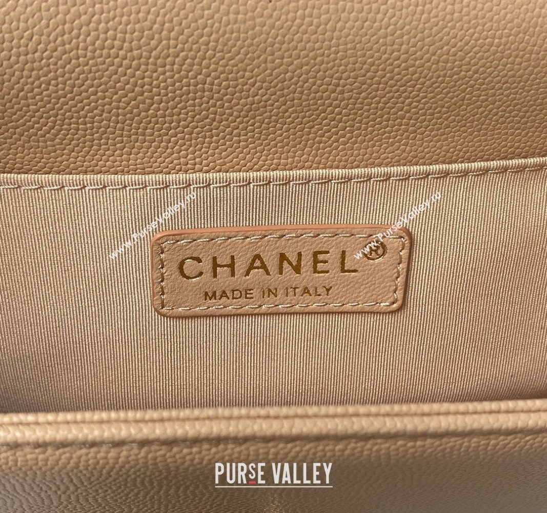 Chanel Grained Shiny Calfskin BOY Flap Bag with Handle A94804 Beige 2023 (jiyuan-23100704)