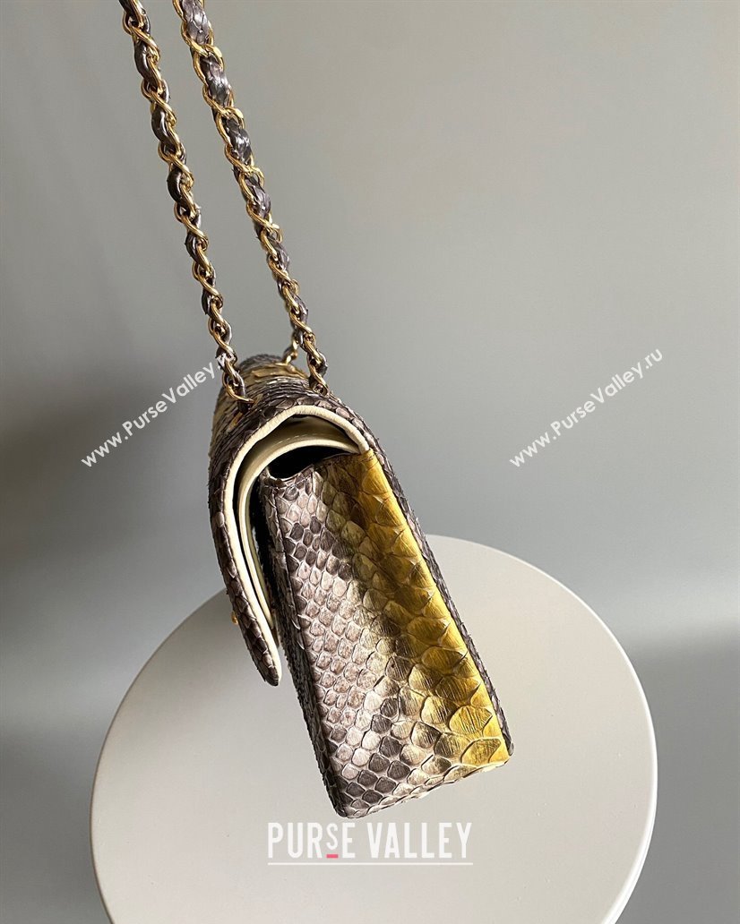 Chanel Python Medium Classic Handbag 1112 02 2023 (yunding-23101002)