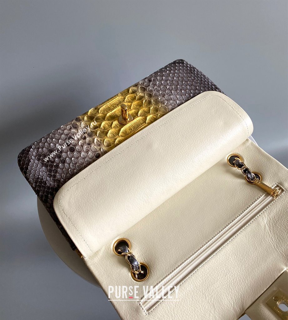 Chanel Python Medium Classic Handbag 1112 02 2023 (yunding-23101002)