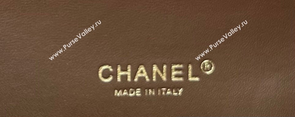 Chanel Wool Tweed Medium Classic Handbag A01112 Green/Brown 2023 (jiyuan-23100908)