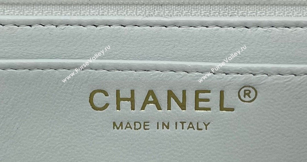 Chanel Wool Tweed Small Classic Handbag A01116 White 2023 (jiyuan-23100911)